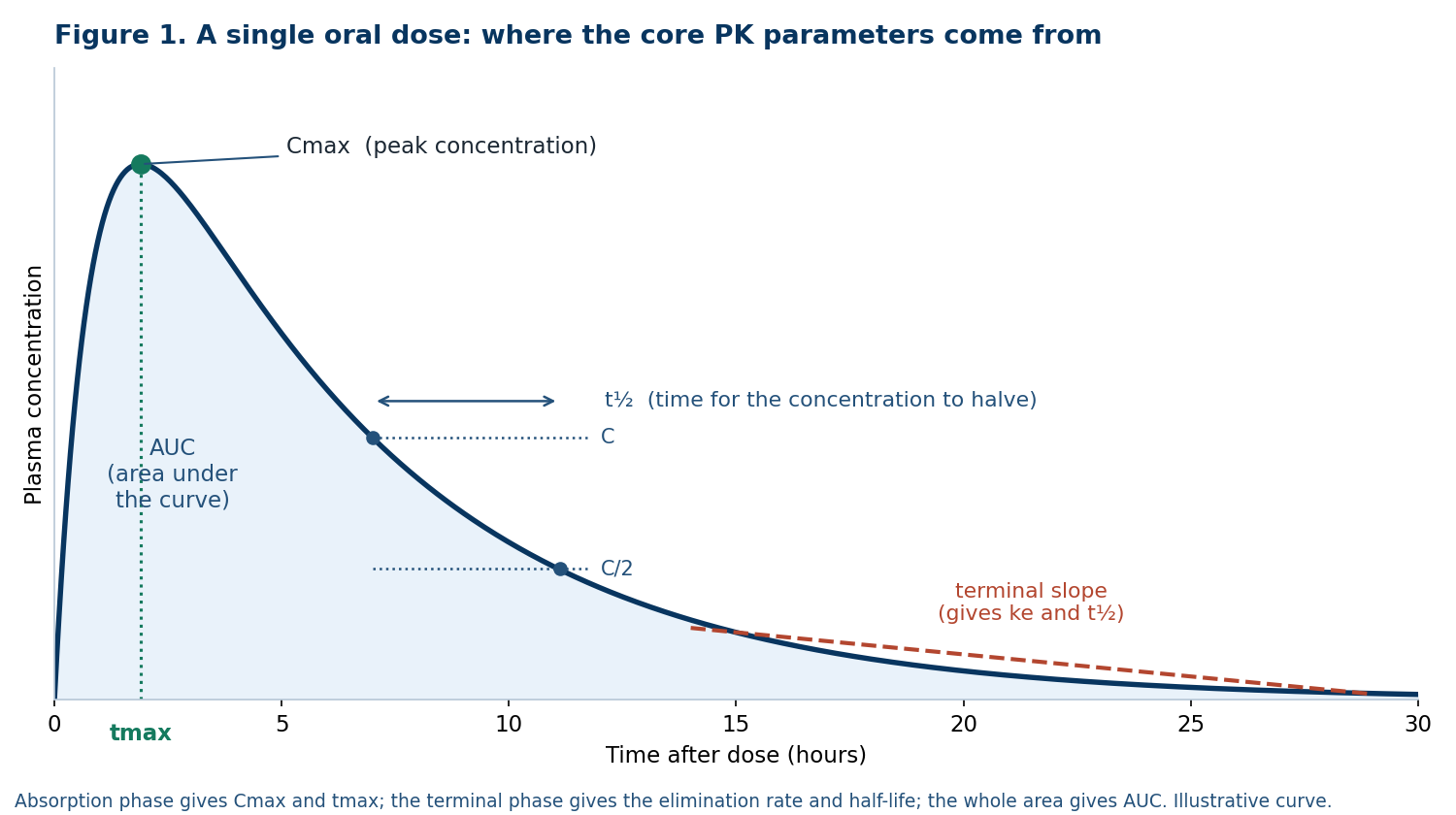 Figure 1. A single oral dose: where the core PK parameters come from. Cmax and tmax on the rising phase, AUC as the shaded area, half-life shown as the time for concentration to halve, and the terminal slope from which ke and t½ are estimated.